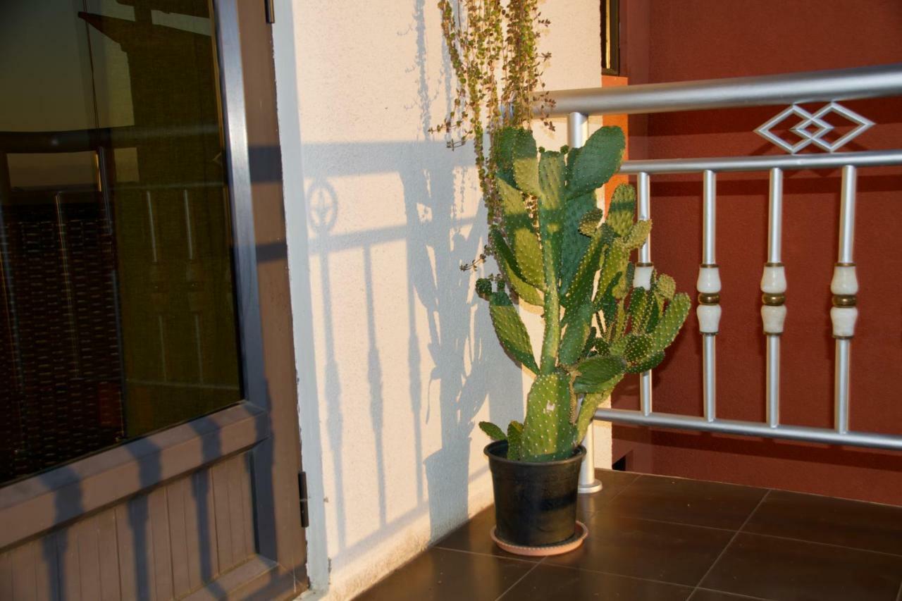 Zanana Penthouse Apartment Flic en Flac Exterior photo